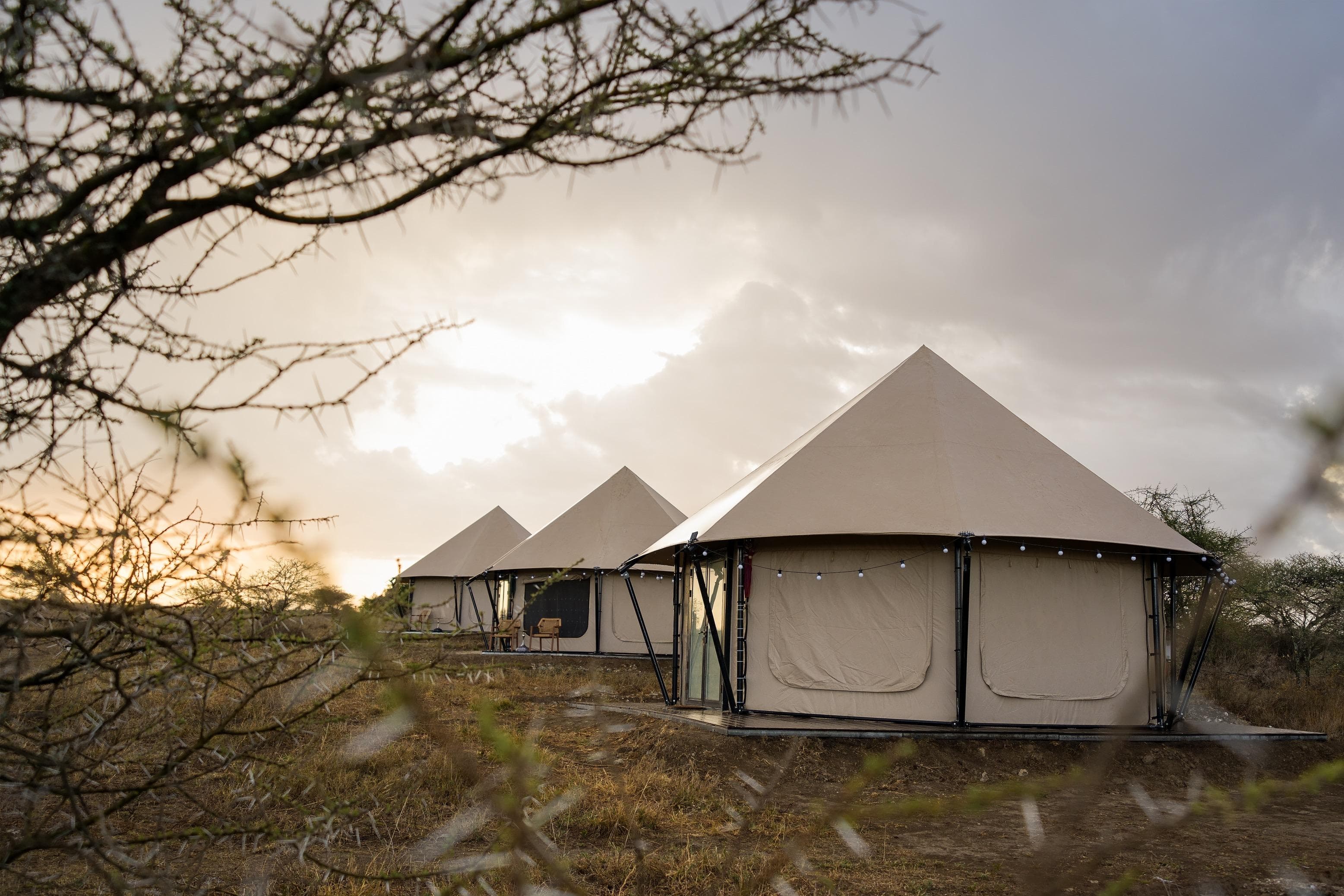 Baobab Mara Tented Camp — image 1
