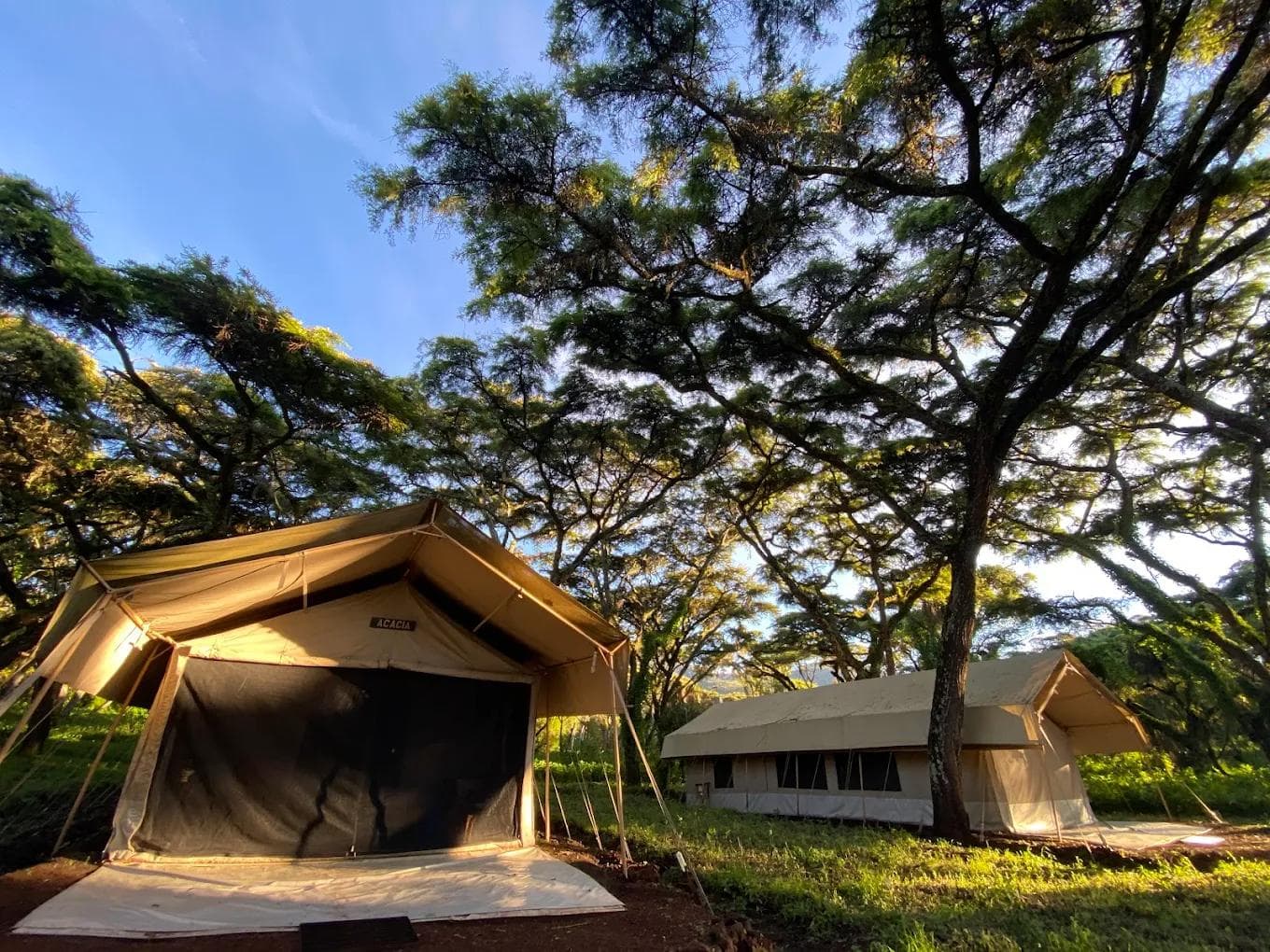 Ngorogoro Tortilis Camp