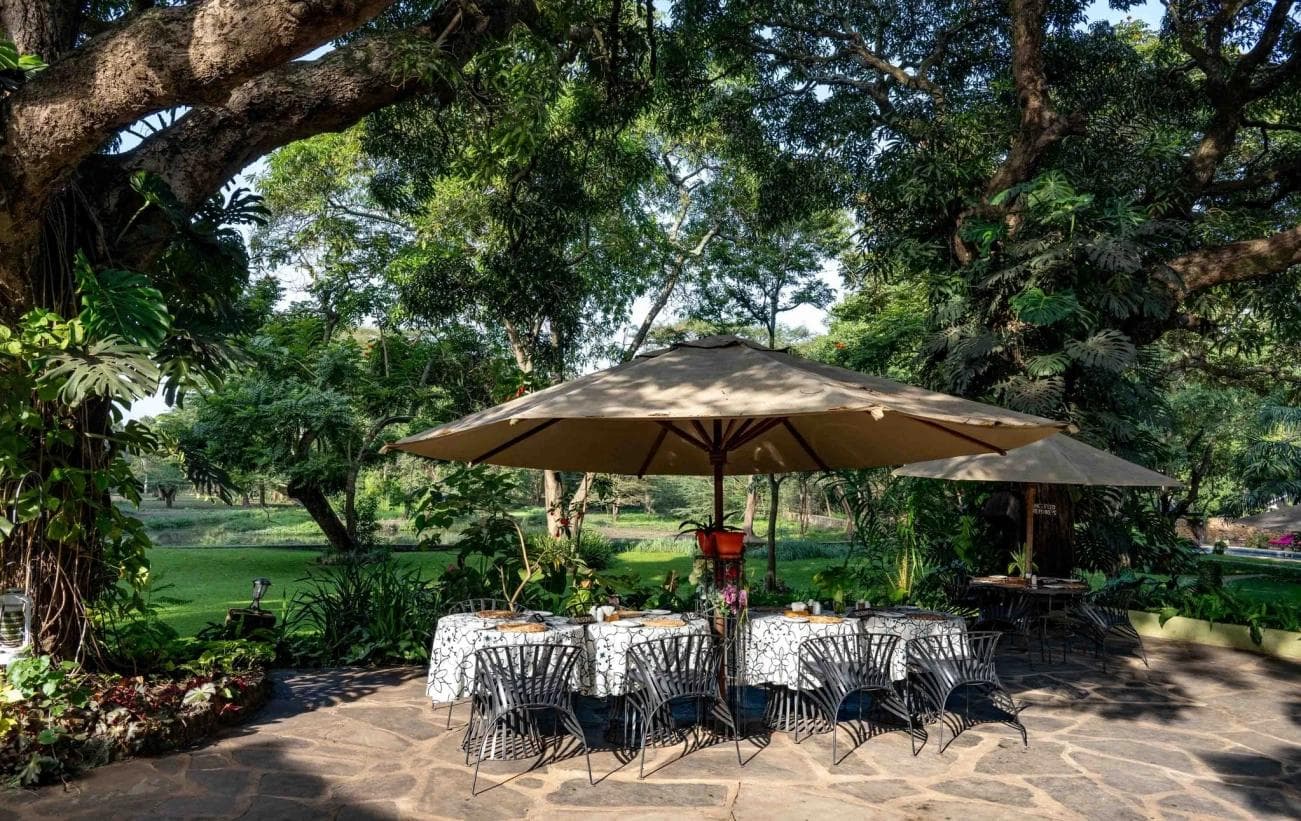 Mount Meru Game Lodge — image 1