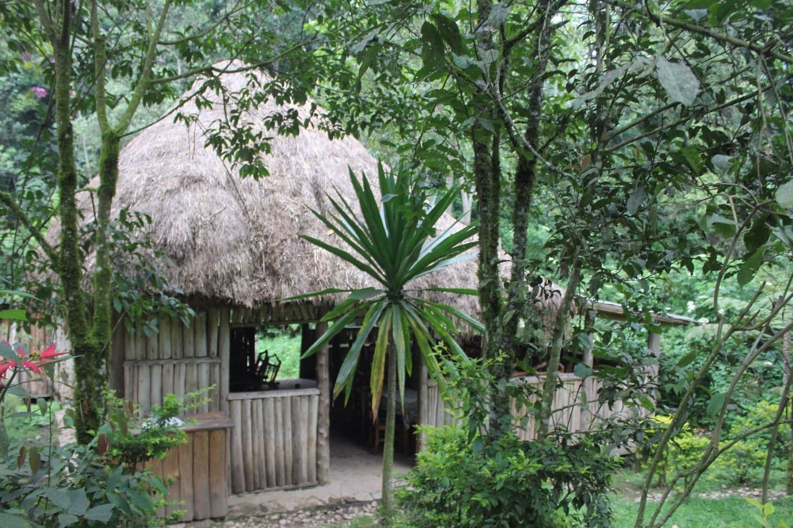 Nshongi Camp — image 2