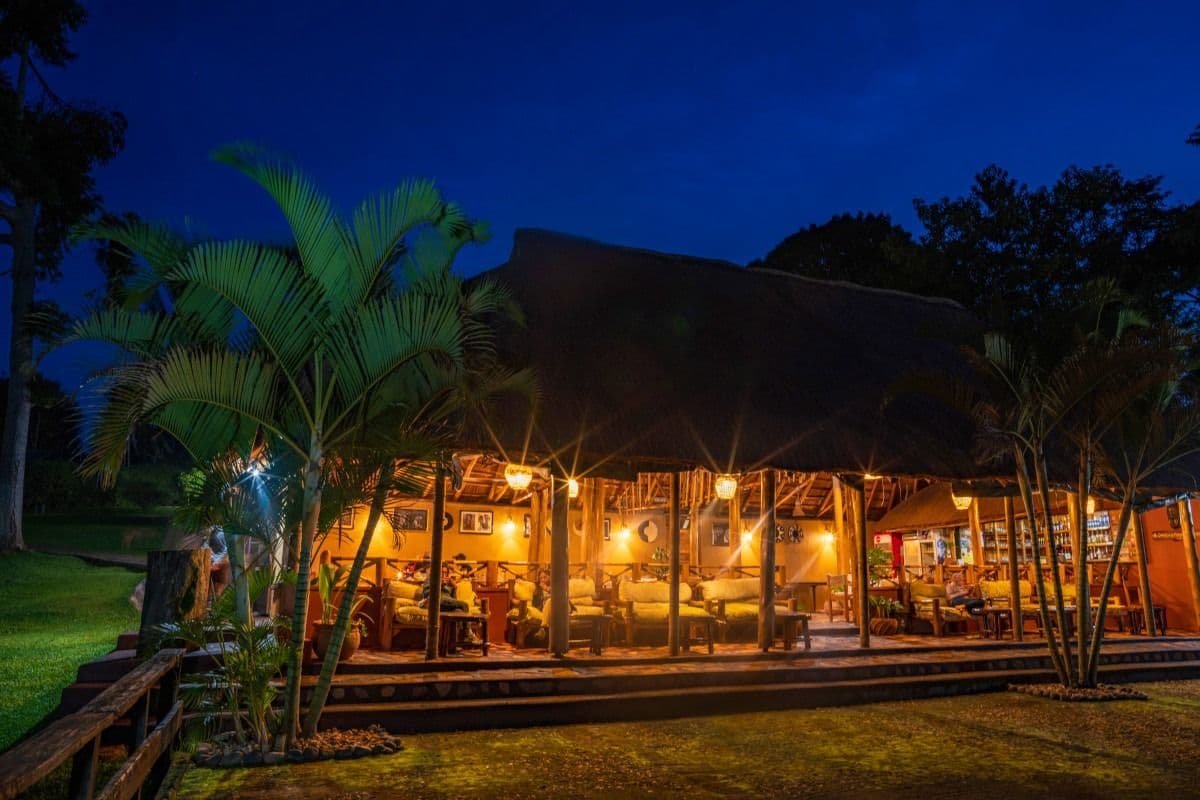 Chimpanzee Forest Lodge — image 4