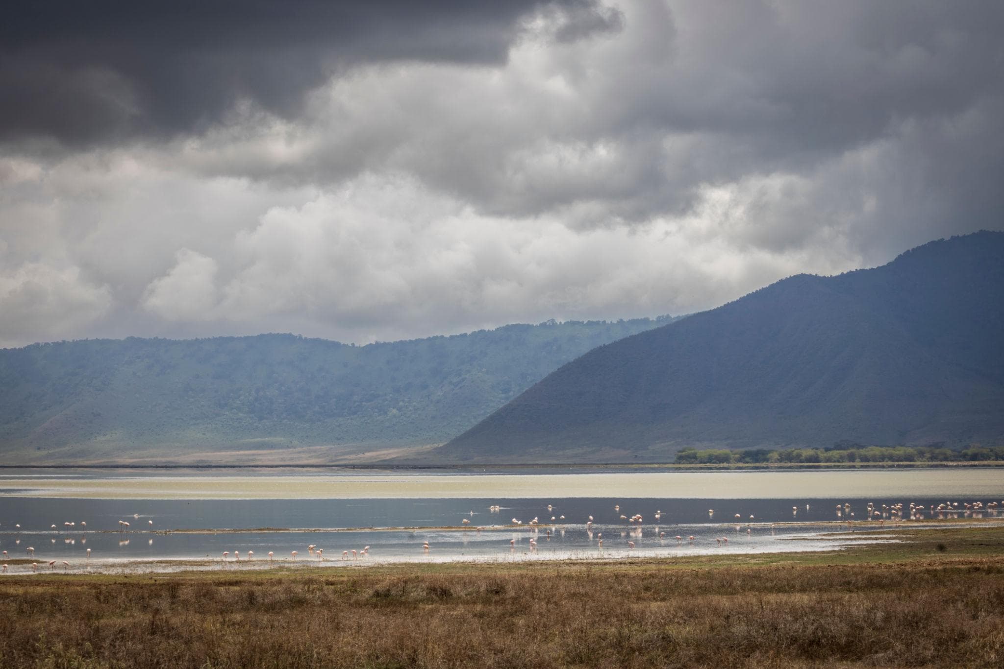 All Time Classic: Tarangire / Serengeti / Ngorongoro / Zanzibar Beach