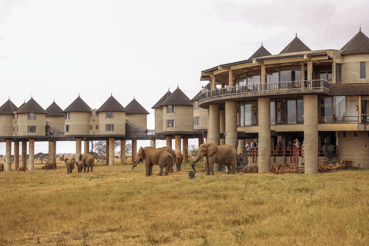Salt Lick Safari Lodge — image 5