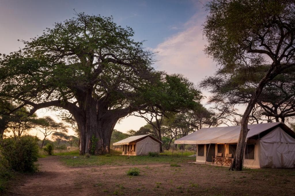 Tarangire Tortilis Camp — image 2