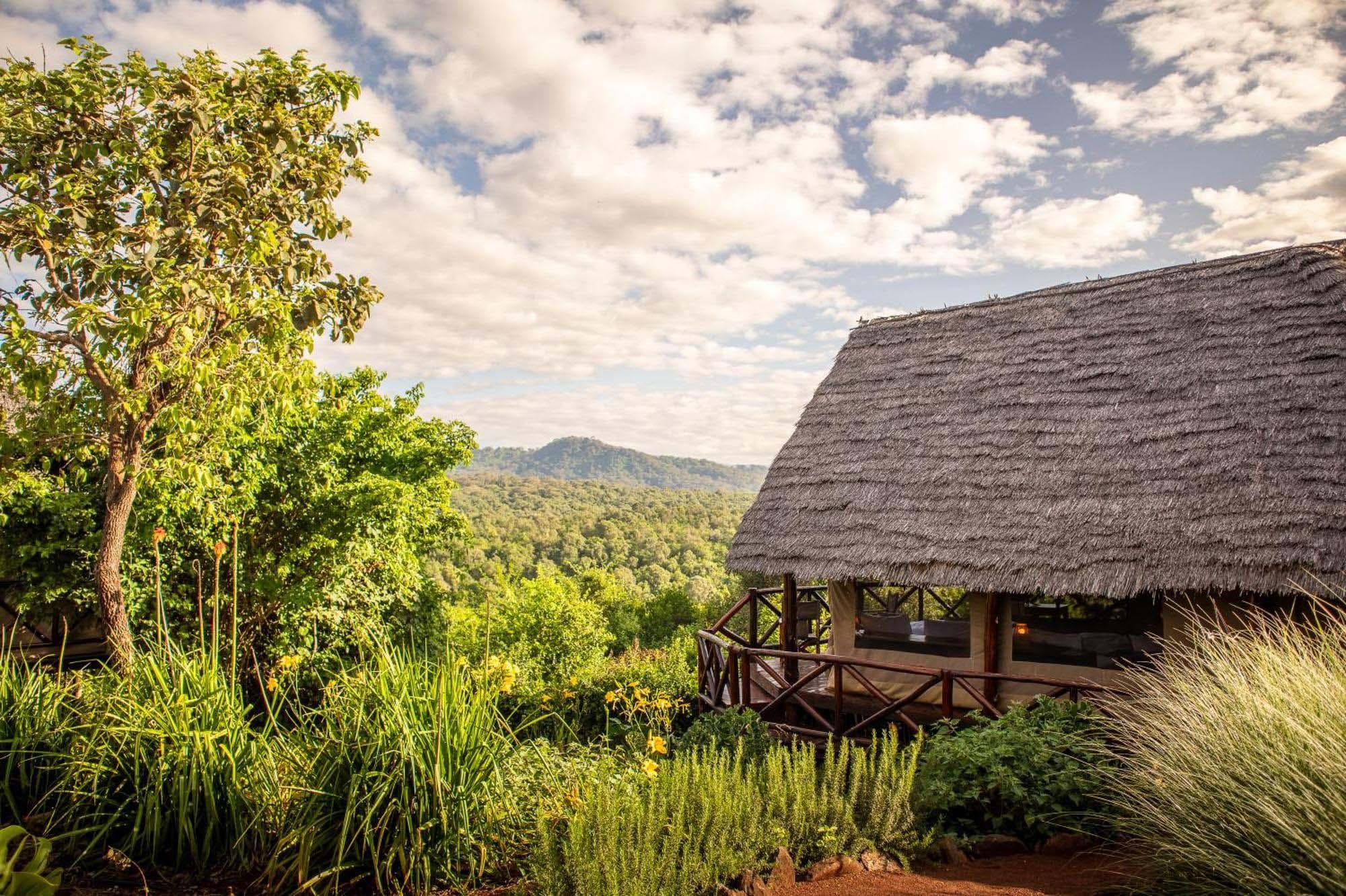 Rhotia Valley Tented Lodge — image 3