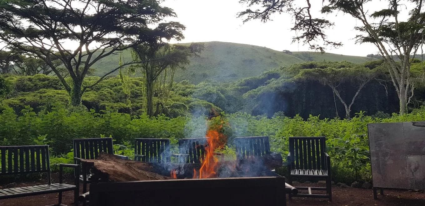 Ngorogoro Tortilis Camp — image 1