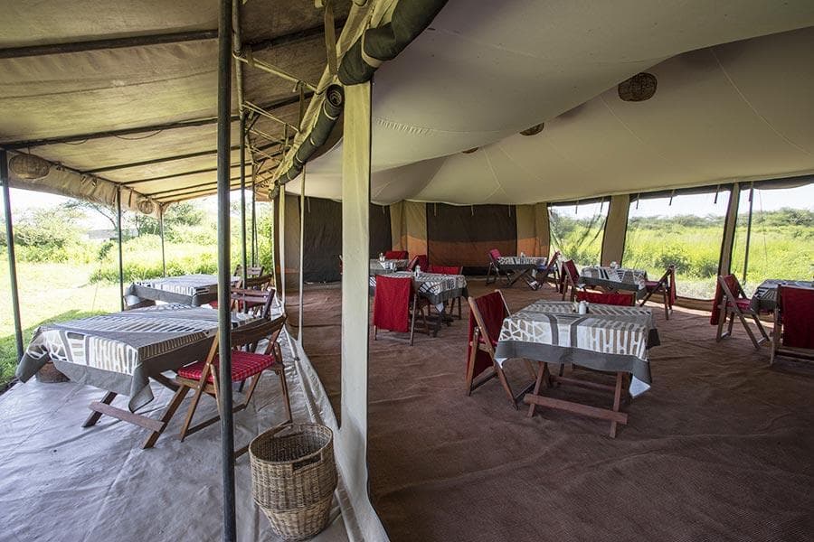 Nyikani Migration Camp — image 1