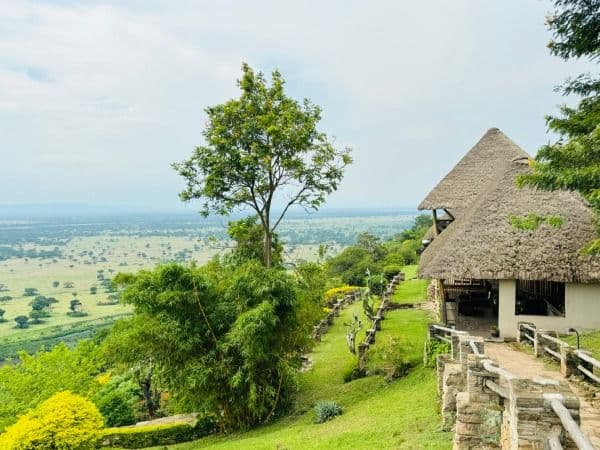 Enganzi Game Lodge — image 2