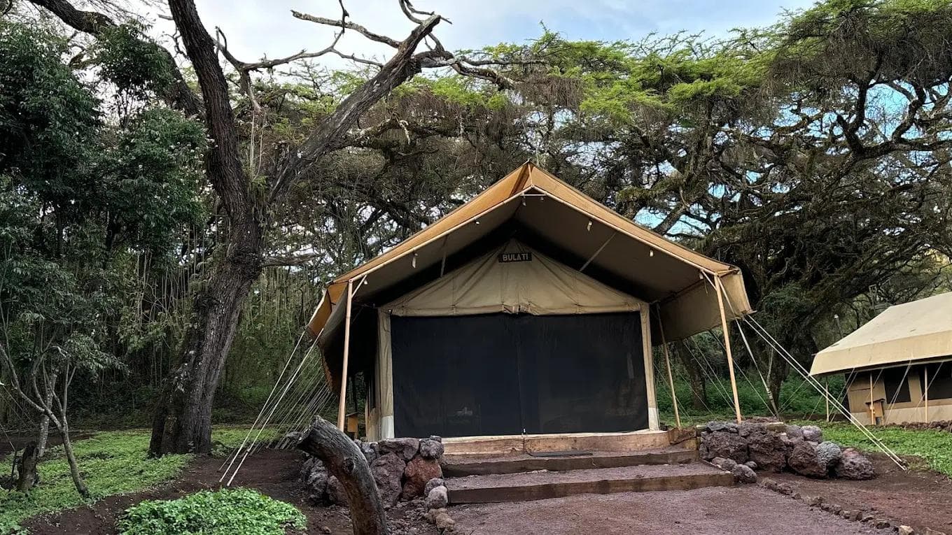 Ngorogoro Tortilis Camp — image 2