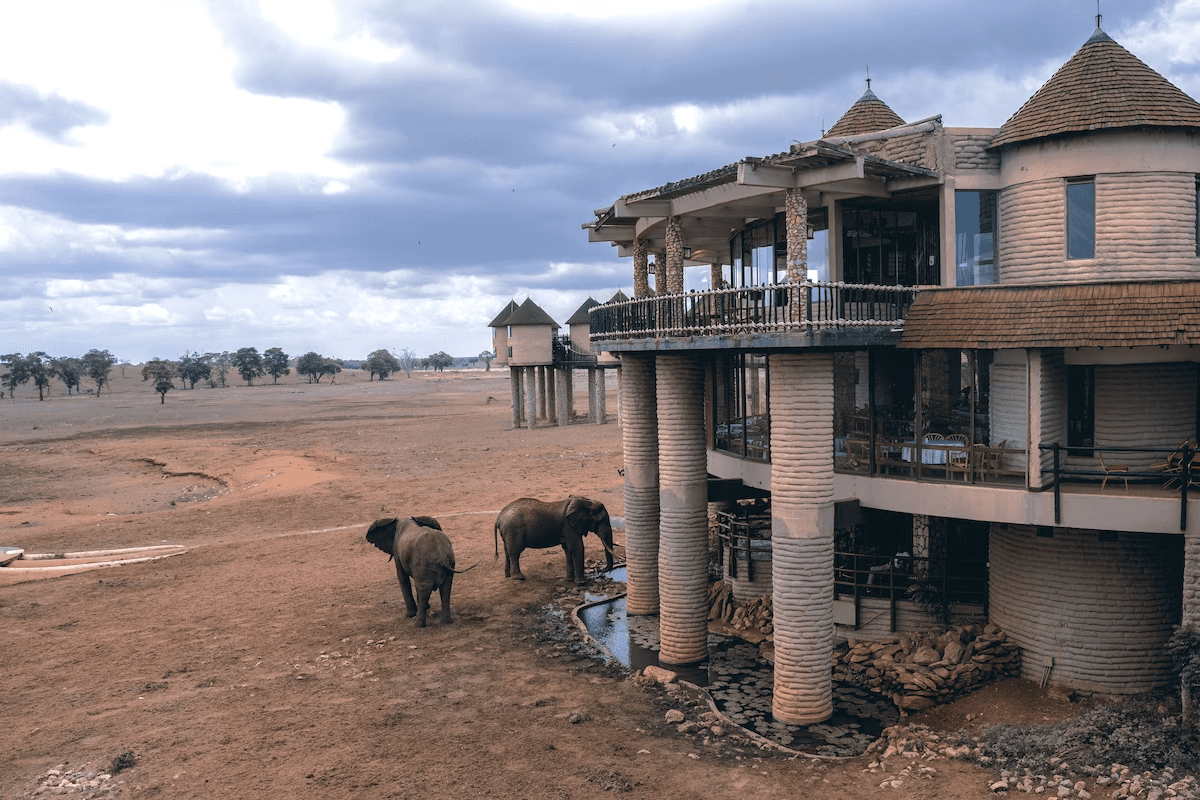 Salt Lick Safari Lodge — image 6
