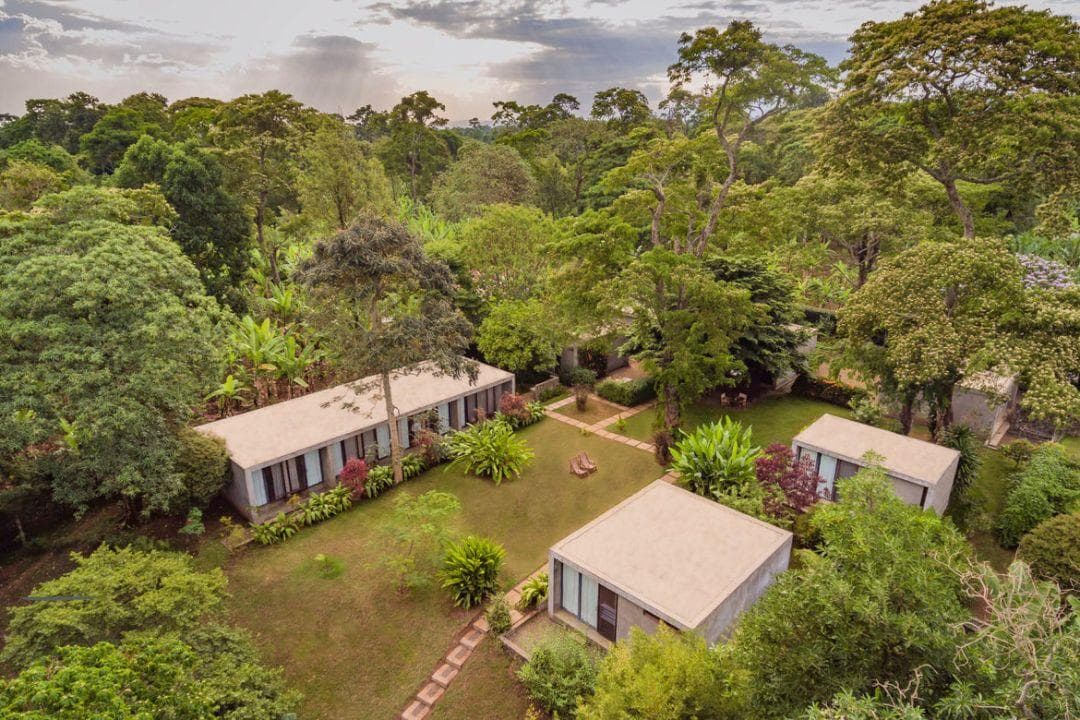 Kaliwa Lodge — image 3