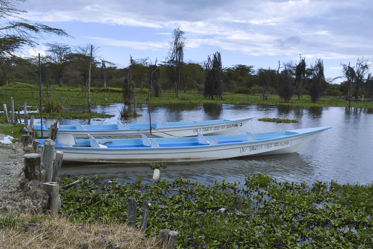Sawela Lodge — image 4