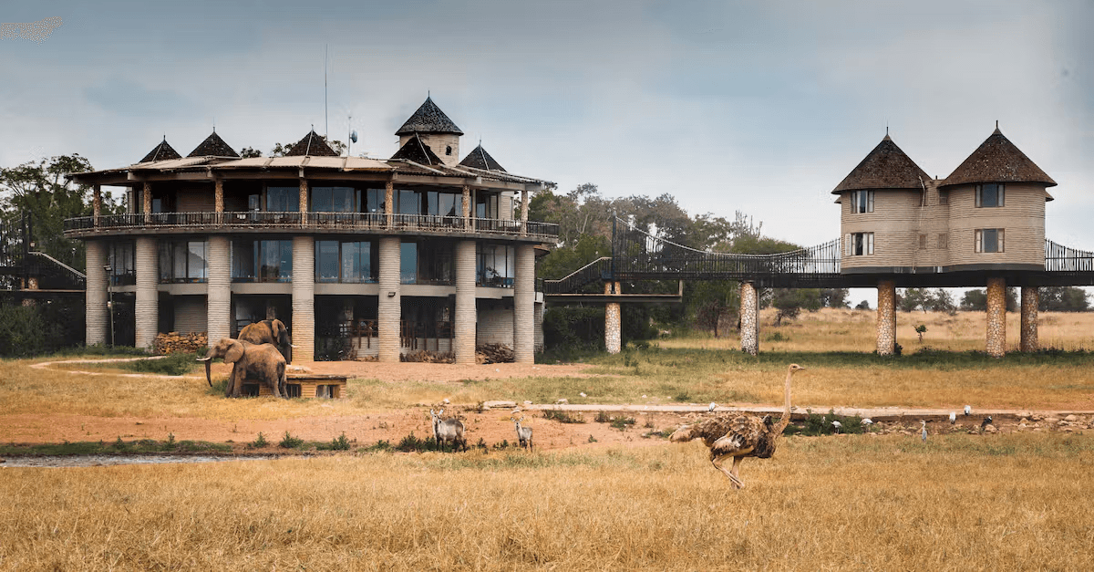 Salt Lick Safari Lodge — image 1
