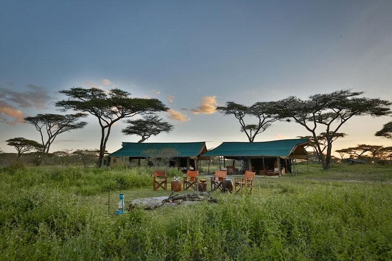 Nyikani Migration Camp — image 2